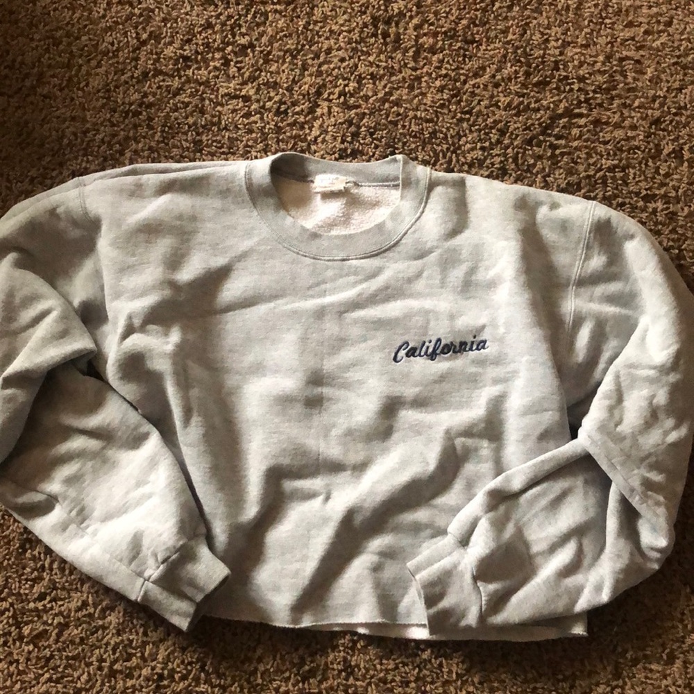 J. Galt/Brandy Melville Cropped Hoodie